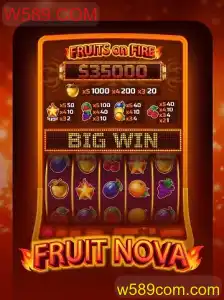 Explorando o Mundo de FruitNova: Uma Jornada Vibrante com W589.COM